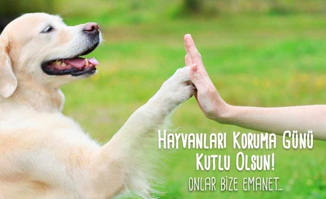 4 Ekim Hayvanları Koruma Günü Kutlu Olsun