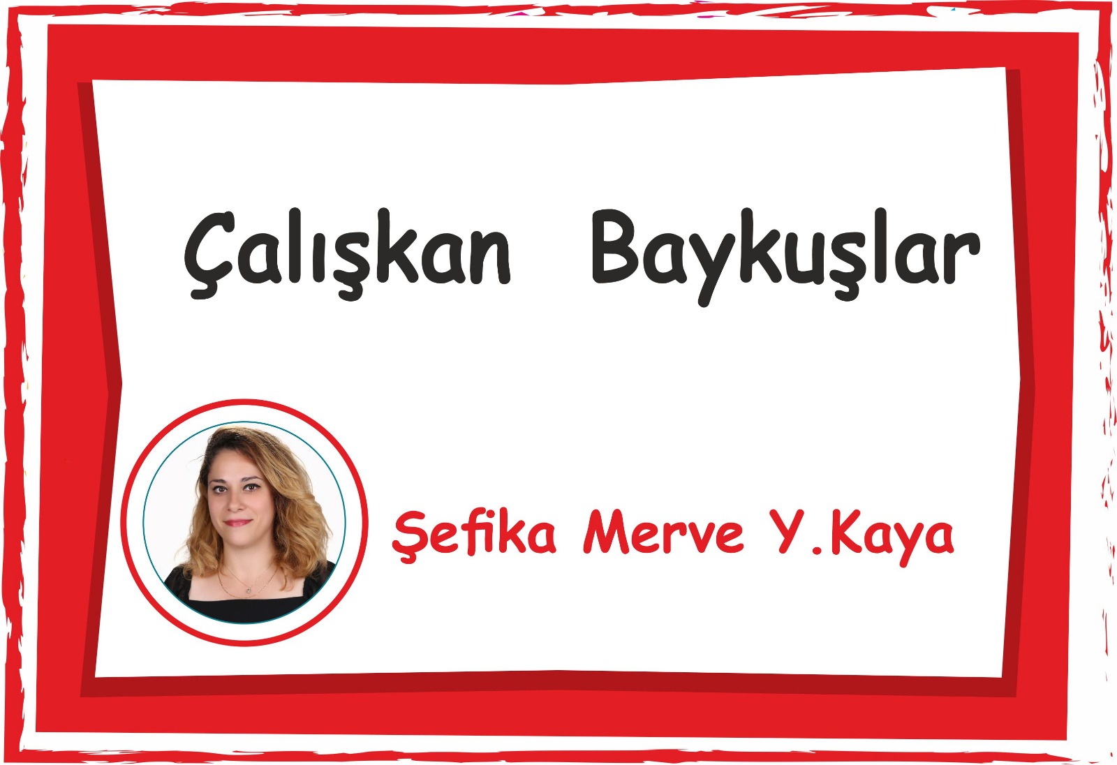 Çalışkan Baykuşlar Sınıfı