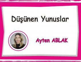 Düşünen Yunuslar Sınıfı