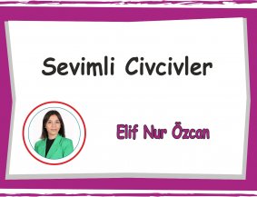 sevimli Civcivler Sınıfı