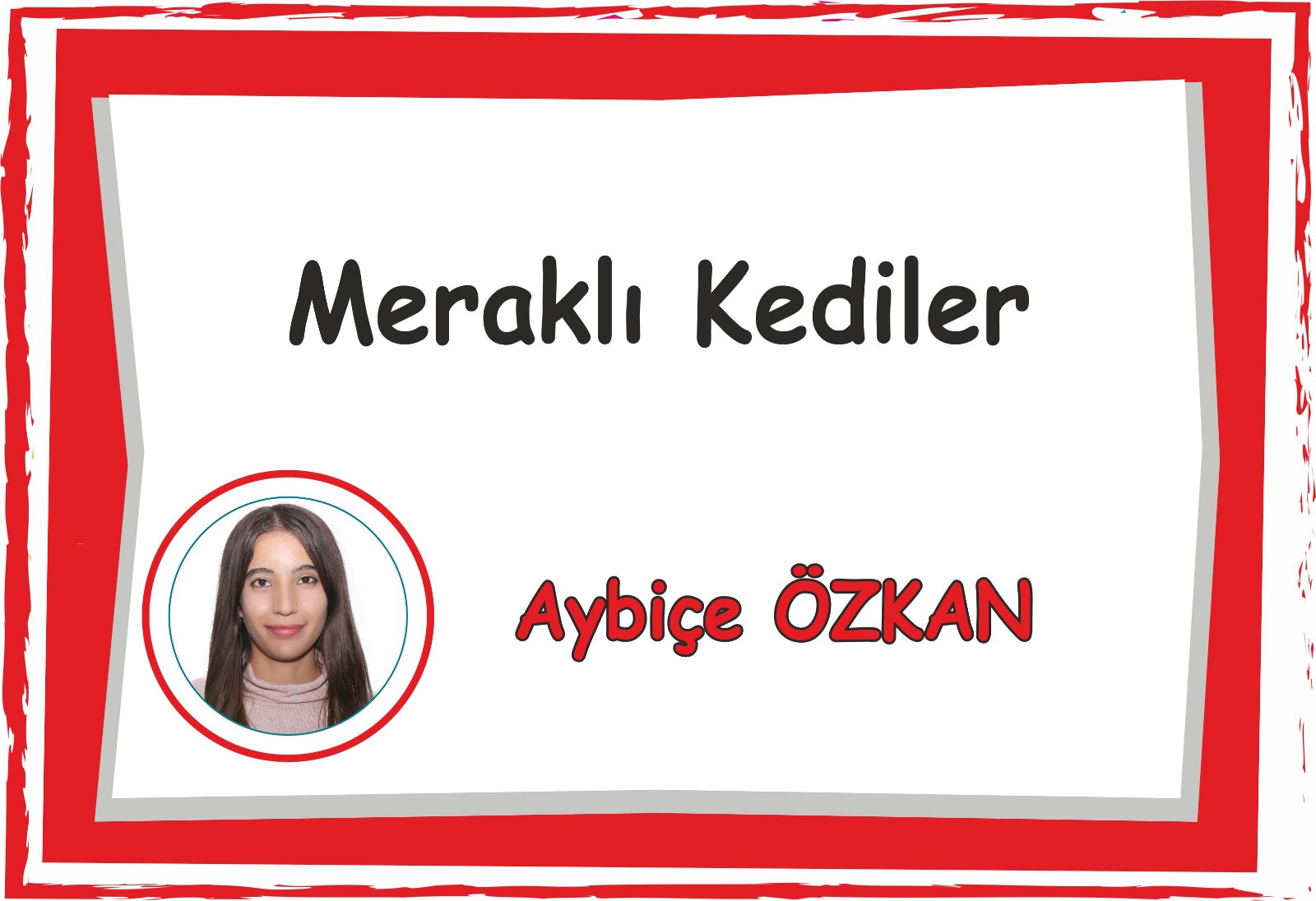 Meraklı Kediler Sınıfı